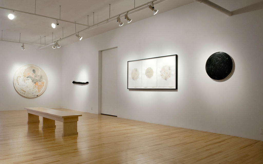Natalie Reis: Installation views of Compendium (2014). Images courtesy Galerie Trois Points, Montreal. Photos: Karine Gagné.