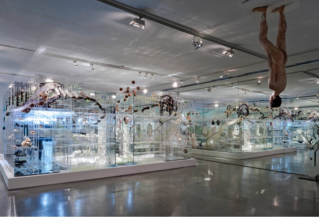 David Almejd: Installation view of the FLUX exhibition at the Musée d'Art Moderne, Paris (2014). Images ©Pierre Antoine.
